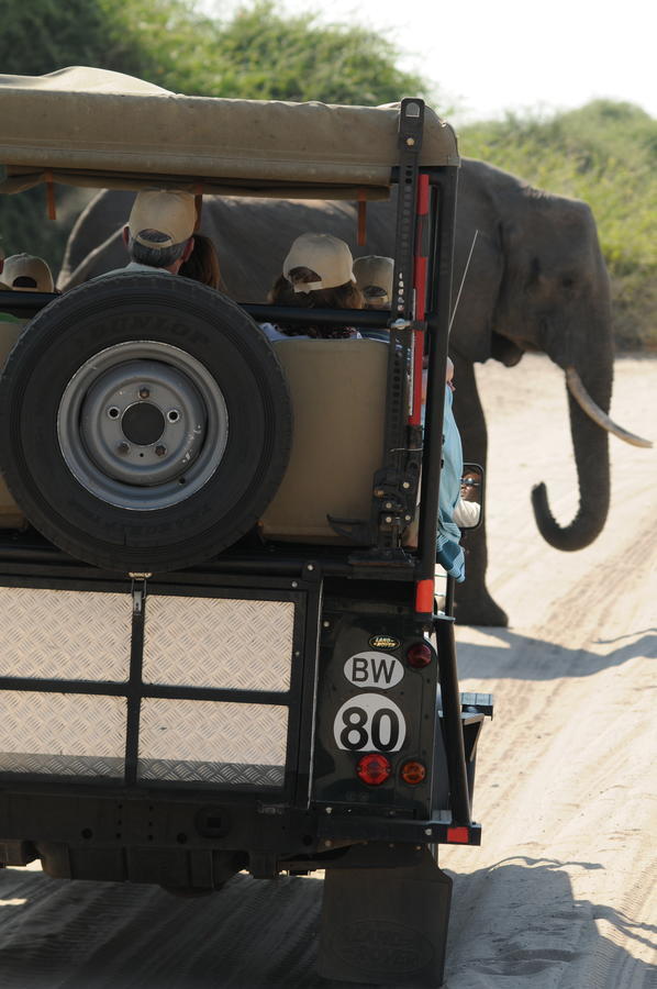 Ngoma Safari LodgeKavimba エクステリア 写真