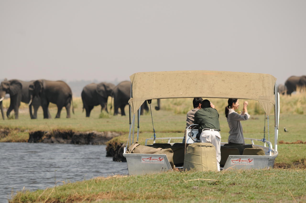 Ngoma Safari LodgeKavimba エクステリア 写真