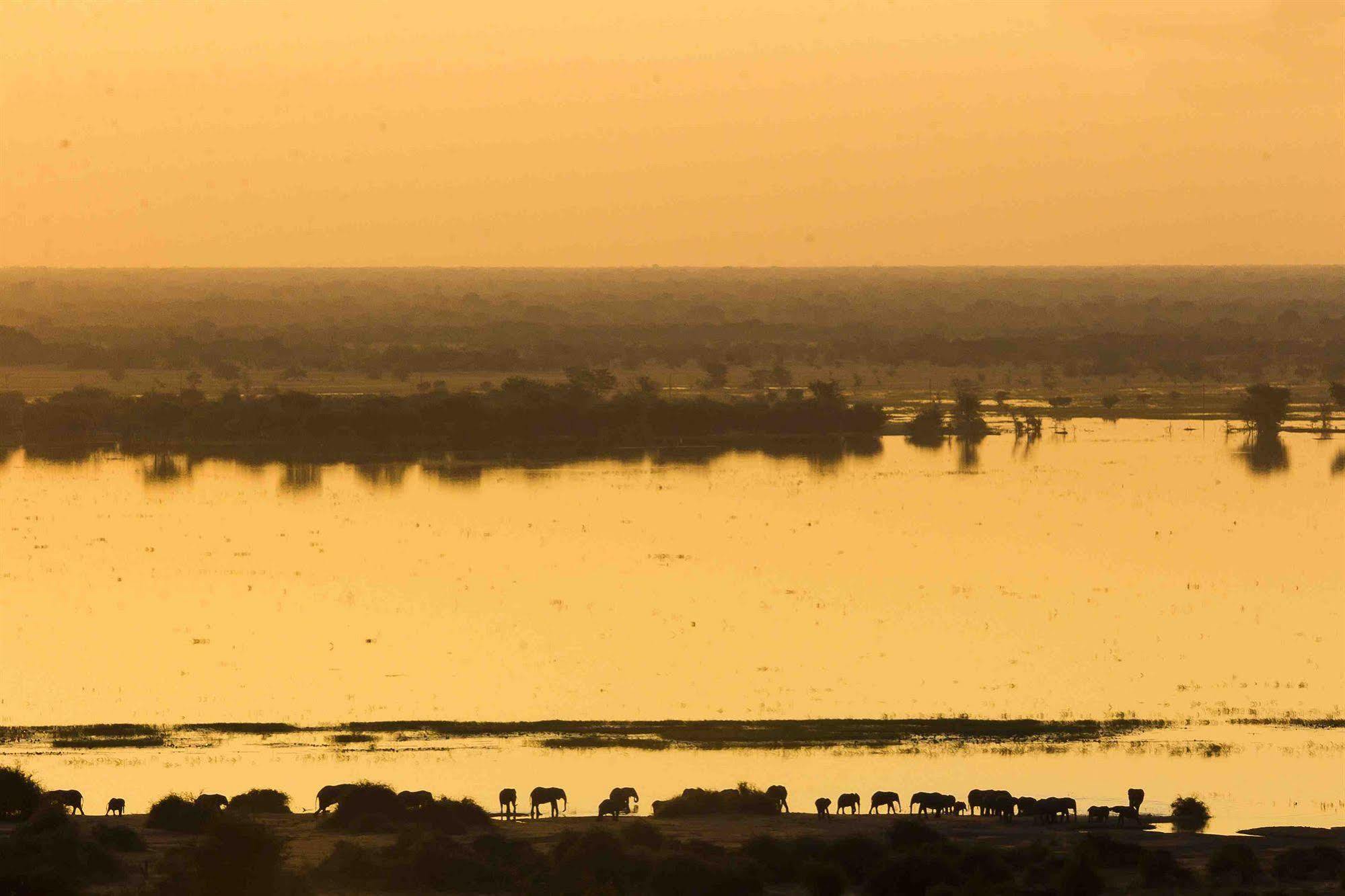 Ngoma Safari LodgeKavimba エクステリア 写真