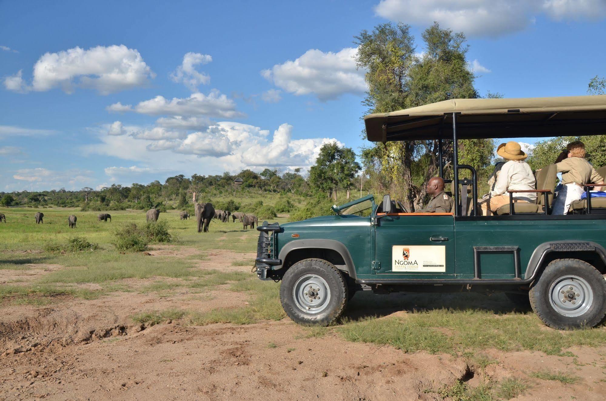 Ngoma Safari LodgeKavimba エクステリア 写真